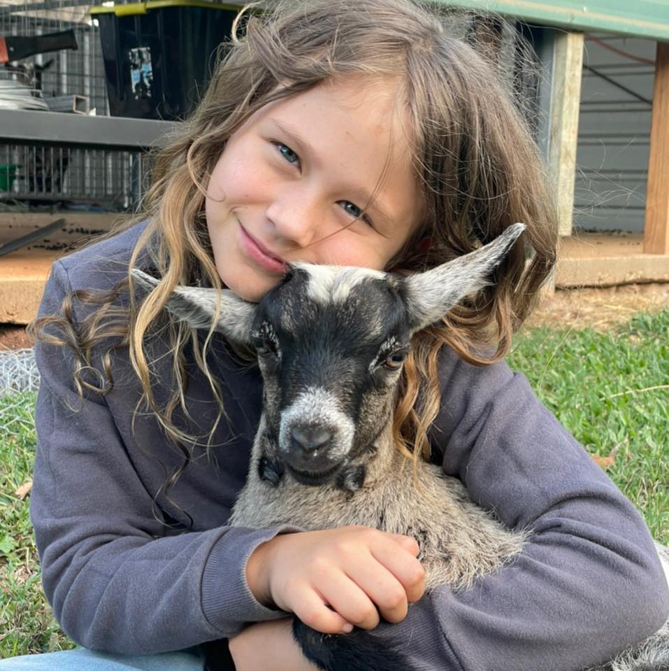 Service-1-min (1) pygmy goat buy